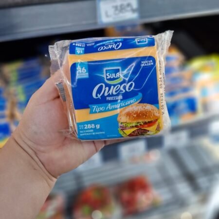 Queso procesado tipo americano 16R