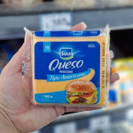 Queso procesado tipo americano 10R