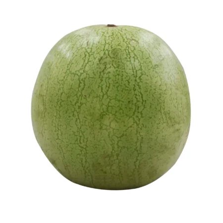 Sandia
