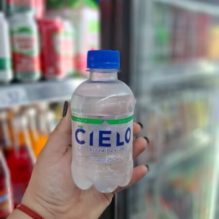 Agua Purificada 250ml